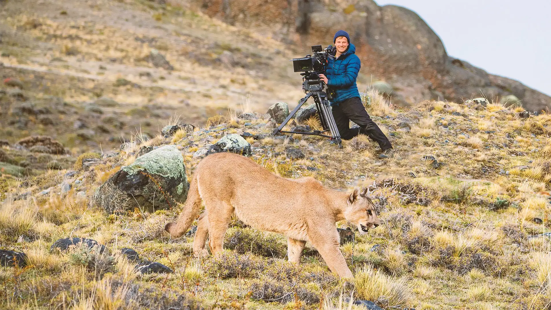 حیوانات از نزدیک با برتی گرگوری